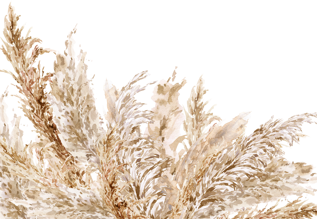 Watercolor Pampas Grass floral  neutral beige border